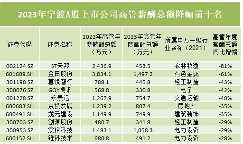 宁波高管薪酬集体“霸榜”！“最强打工人”来自这些赛道(图4)