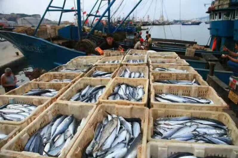 浙江海威蓝船舶有限公司图片2