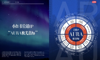 为什么品牌增长，需要小红书IP？