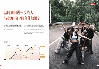 为什么品牌增长，需要小红书IP？