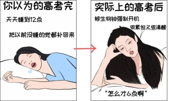 策划一场“完美”的考试作弊,行吗?最高院:很“刑”,都进去了!(图2) 策划一场“完美”的考试作弊,行吗?最高院:很“刑”,都进去了!(图2)