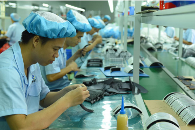 广东宇博电子有限公司图片8