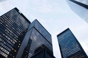 职场新人该如何突破“职场菜鸟”称号