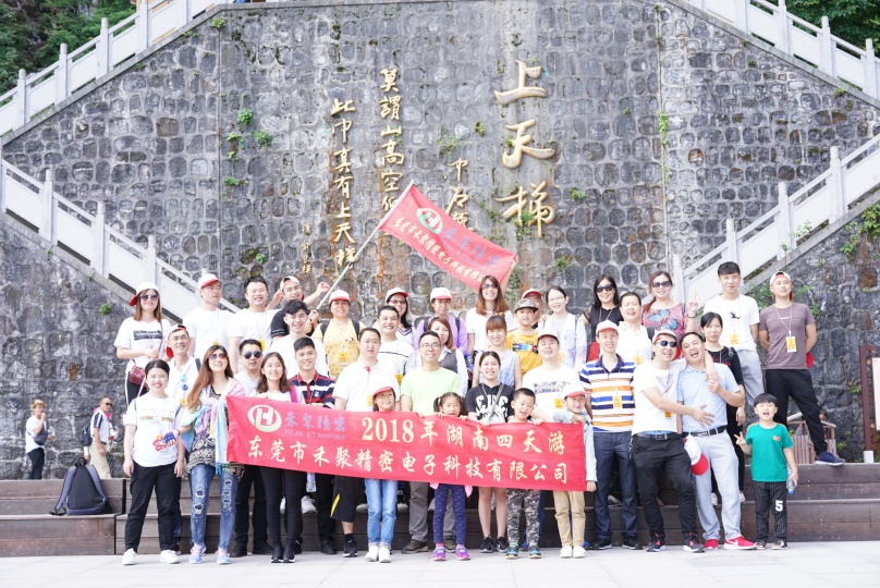 东莞市禾聚精密电子科技有限公司图片1