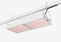 深圳民爆光电股份有限公司植物灯图