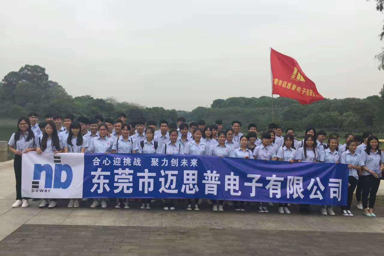 迈思普电子股份有限公司图片6