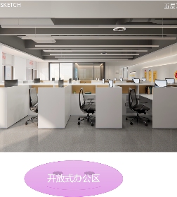 阿麦斯（广东）食品科技有限公司图片4