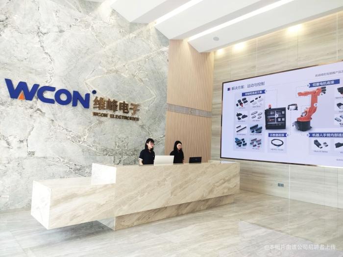 维峰电子(广东)股份有限公司图片1