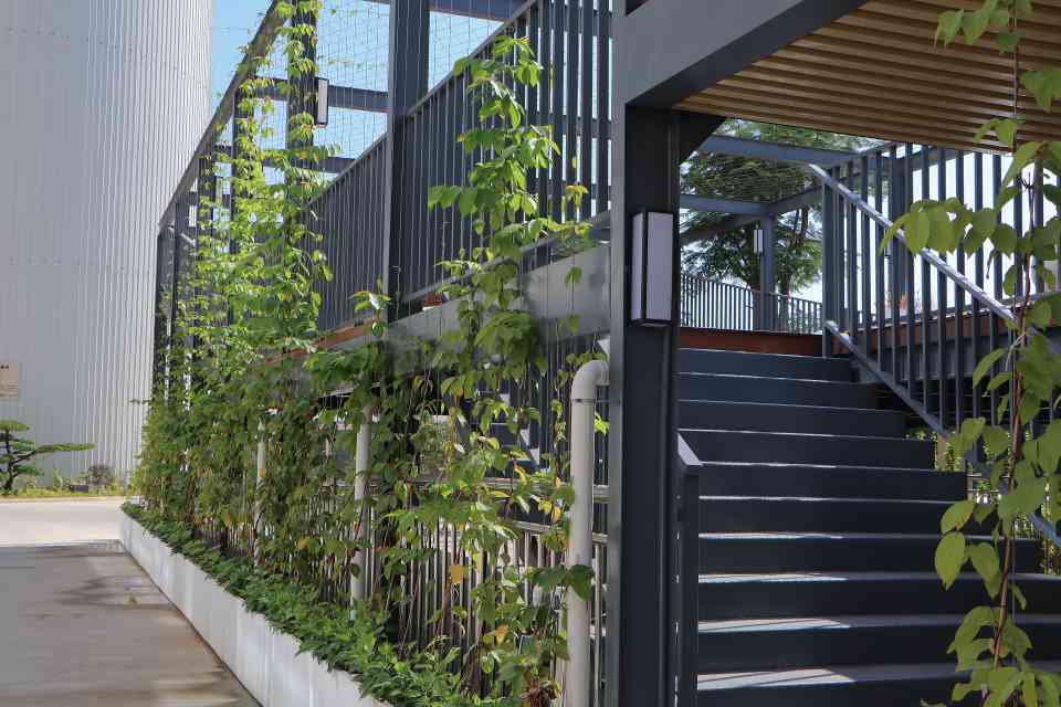 维峰电子(广东)股份有限公司图片6