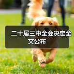 二十届三中全会决定全文公布 二十届三中全会决定全文公布