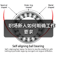 职场新人如何明确工作要求