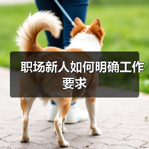 职场新人如何明确工作要求