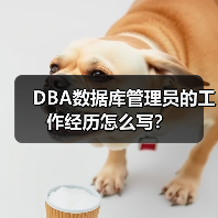 DBA数据库管理员的工作经历怎么写？（图3）