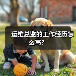 运维总监的工作经历怎么写？（图1）