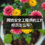 网络安全工程师的工作经历怎么写？（图2）