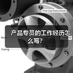 产品专员的工作经历怎么写？（图3）