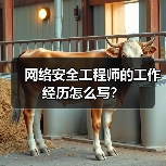 网络安全工程师的工作经历怎么写？（图1）