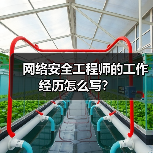 网络安全工程师的工作经历怎么写？（图3）