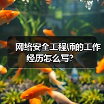 网络安全工程师的工作经历怎么写？（图4）