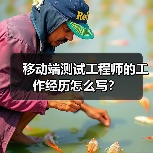 移动端测试工程师的工作经历怎么写?(图1) 移动端测试工程师的工作经历怎么写?(图1)