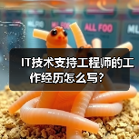 IT技术支持工程师的工作经历怎么写？（图2）