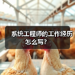 系统工程师的工作经历怎么写？（图2）