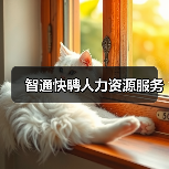 智通快聘人力资源服务（图2）