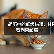 简历中的低级错误,HR看到直皱眉(图4) 简历中的低级错误,HR看到直皱眉(图4)