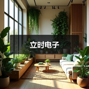 立时电子（图2）