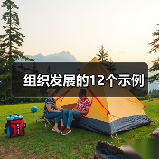 组织发展的12个示例(图3) 组织发展的12个示例(图3)