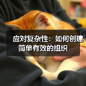 应对复杂性：如何创建简单有效的组织（图4）