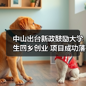 中山出台新政鼓励大学生回乡创业 项目成功落地奖补1万元（图2）