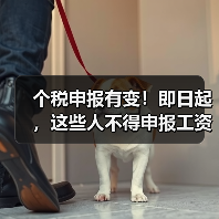 个税申报有变！即日起，这些人不得申报工资薪金（图4）