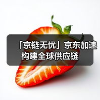 「京链无忧」京东加速构建全球供应链（图4）
