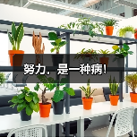 努力，是一种病！（图1）