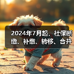 2024年7月起,社保断缴、补缴、转移、合并这样办(图3) 2024年7月起,社保断缴、补缴、转移、合并这样办(图3)