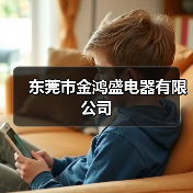 东莞市金鸿盛电器有限公司（图2）