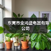东莞市金鸿盛电器有限公司（图3）