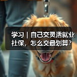 学习|自己交灵活就业社保,怎么交最划算?(图1) 学习|自己交灵活就业社保,怎么交最划算?(图1)
