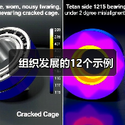 组织发展的12个示例（图4）