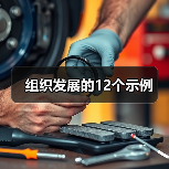 组织发展的12个示例（图2）