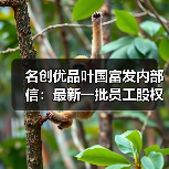 名创优品叶国富发内部信：最新一批员工股权激励293人 价值8.07亿元（图4）