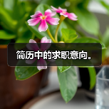 简历中的求职意向。（图2）