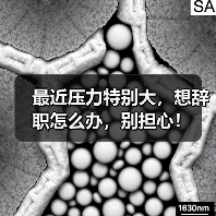 最近压力特别大,想辞职怎么办,别担心!(图3) 最近压力特别大,想辞职怎么办,别担心!(图3)