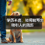 学历不高,如何能写出吸引人的简历(图3) 学历不高,如何能写出吸引人的简历(图3)