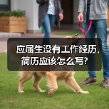 应届生没有工作经历,简历应该怎么写?(图4) 应届生没有工作经历,简历应该怎么写?(图4)