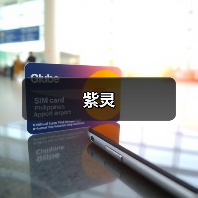 紫灵(图3) 紫灵(图3)