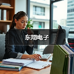 东翔电子（图1）