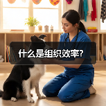什么是组织效率?(图1) 什么是组织效率?(图1)