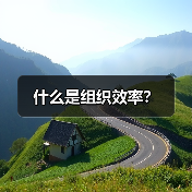 什么是组织效率?(图4) 什么是组织效率?(图4)